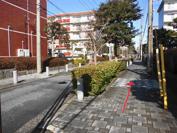 map10_r.jpg(42345 byte)