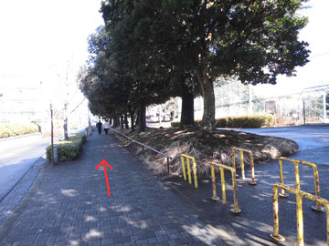 map14_r.jpg(33931 byte)